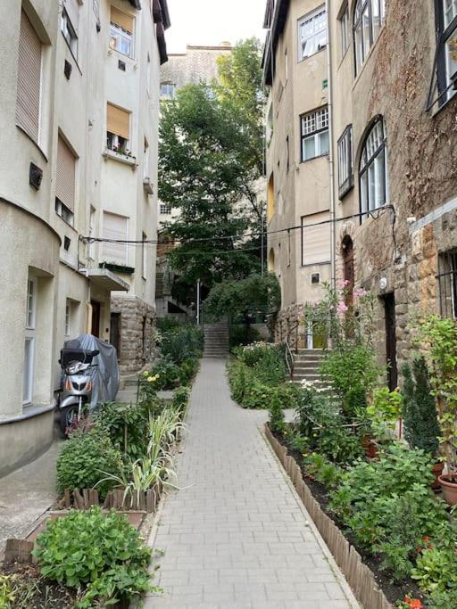 Tiny Private Apartment In Central Buda. Boedapest Buitenkant foto